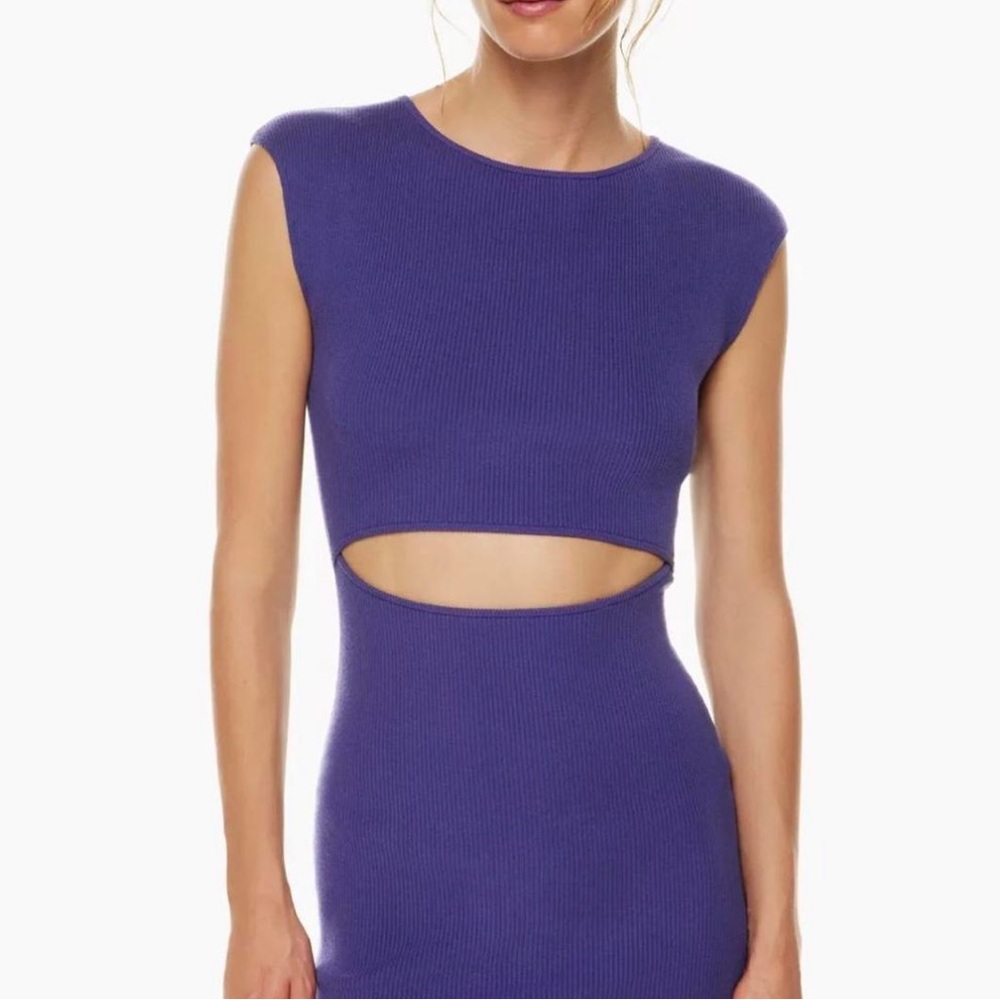 Aritzia Wilfred Violet Ribbed Cutout Dress